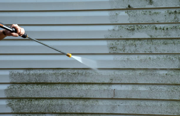 Solar Panel Cleaning in Charenton, LA